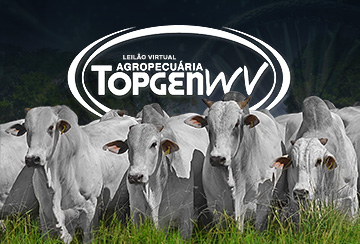 LEILÃO VIRTUAL AGROPECUÁRIA TOPGEN WV